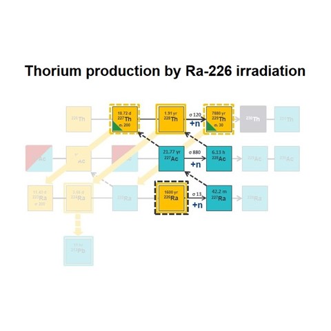 Irradiation Of Radium 226 Cropped